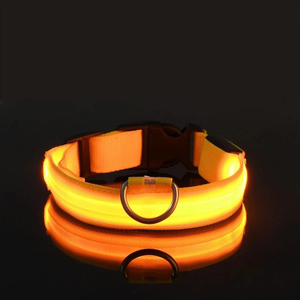 Nylon LED Night Safety Flashing Glow In The Dark Dog Leash Dogs Luminous Fluorescent Pet Dog Collar - PawfectCo