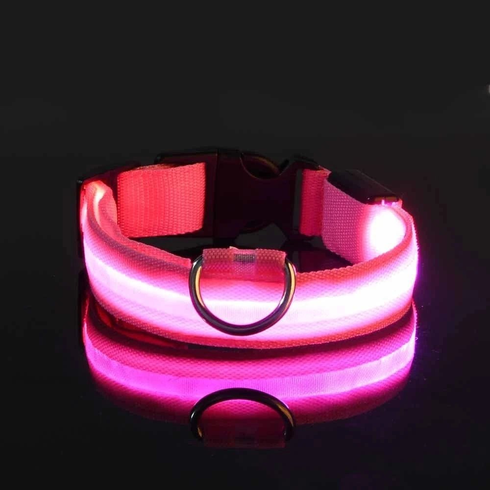 Nylon LED Night Safety Flashing Glow In The Dark Dog Leash Dogs Luminous Fluorescent Pet Dog Collar - PawfectCo