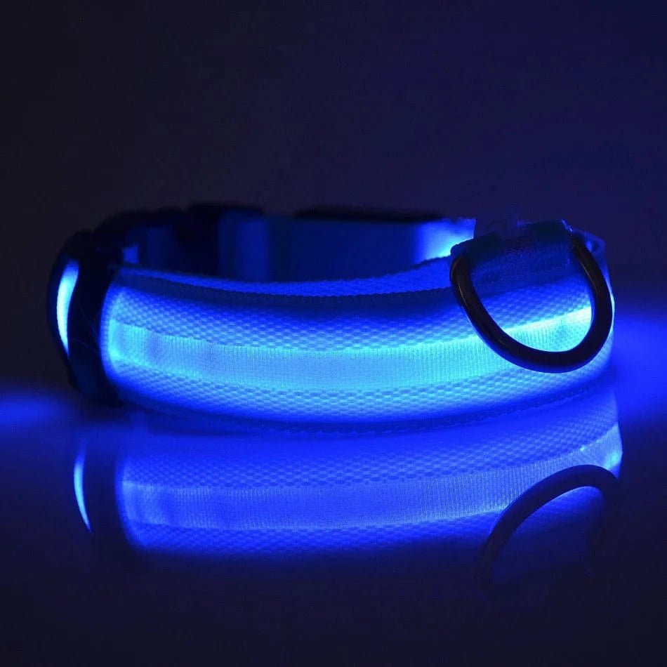 Nylon LED Night Safety Flashing Glow In The Dark Dog Leash Dogs Luminous Fluorescent Pet Dog Collar - PawfectCo