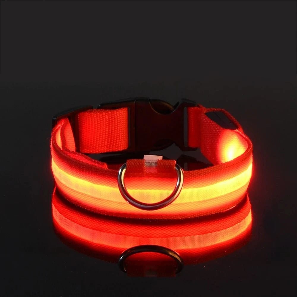 Nylon LED Night Safety Flashing Glow In The Dark Dog Leash Dogs Luminous Fluorescent Pet Dog Collar - PawfectCo