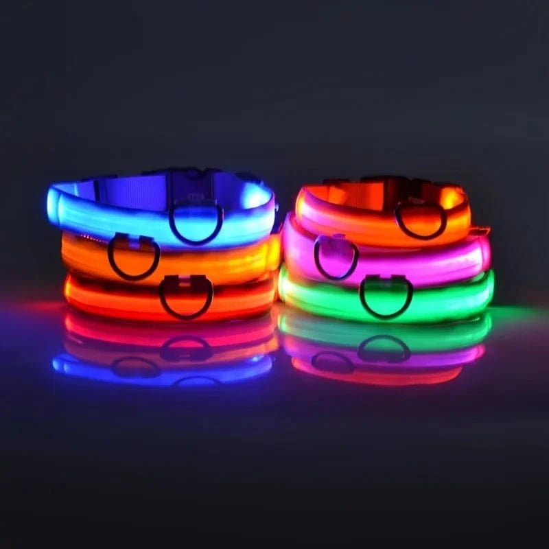 Nylon LED Night Safety Flashing Glow In The Dark Dog Leash Dogs Luminous Fluorescent Pet Dog Collar - PawfectCo