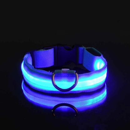 Nylon LED Night Safety Flashing Glow In The Dark Dog Leash Dogs Luminous Fluorescent Pet Dog Collar - PawfectCo