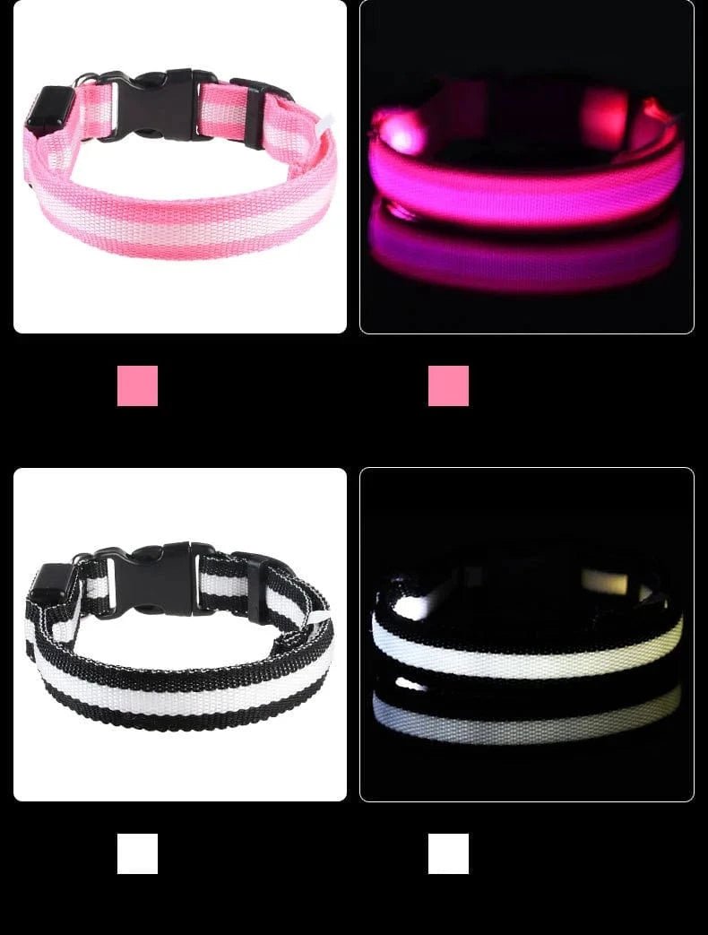 Nylon LED Night Safety Flashing Glow In The Dark Dog Leash Dogs Luminous Fluorescent Pet Dog Collar - PawfectCo