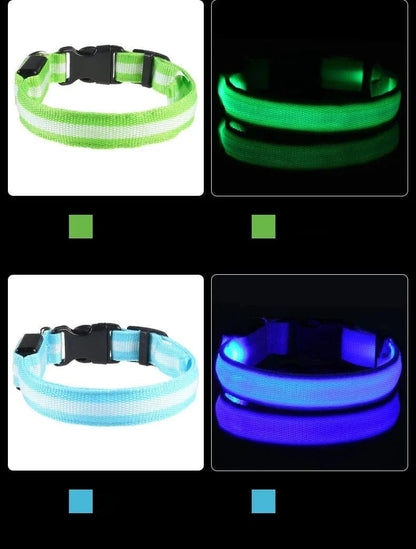 Nylon LED Night Safety Flashing Glow In The Dark Dog Leash Dogs Luminous Fluorescent Pet Dog Collar - PawfectCo