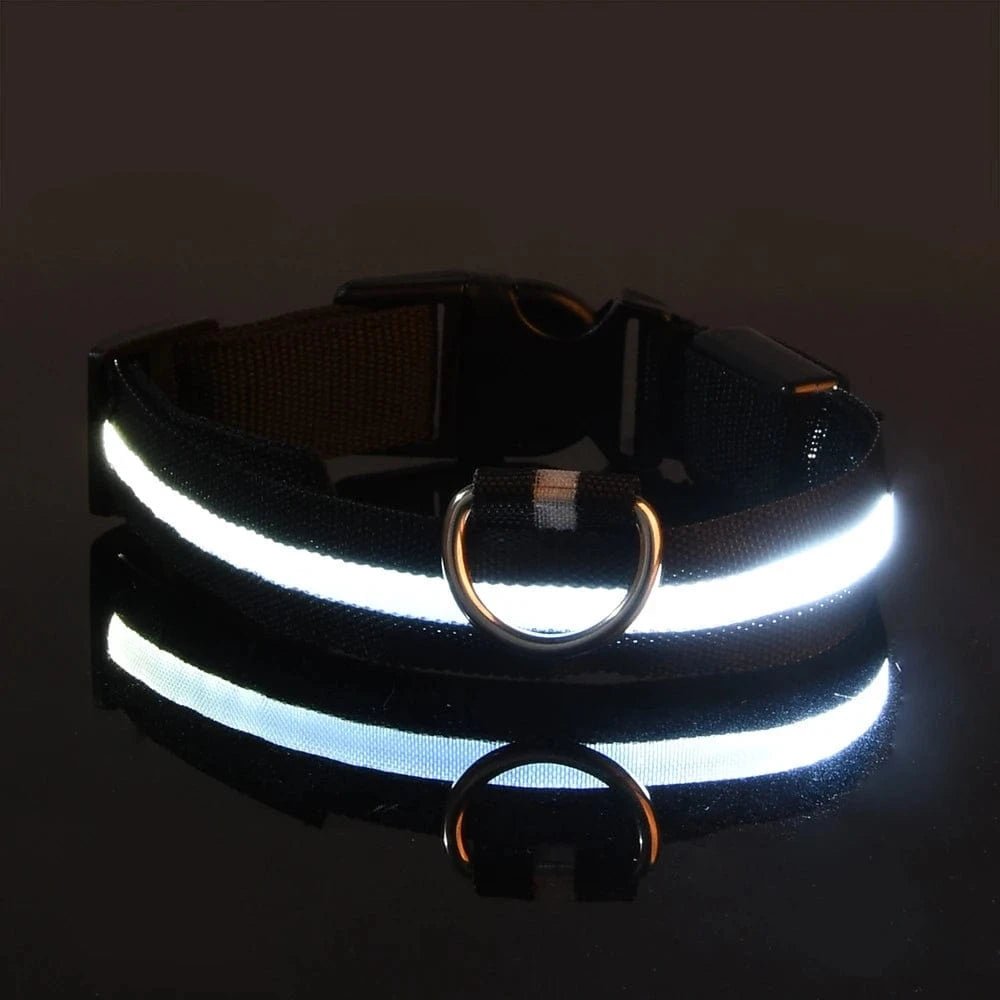 Nylon LED Night Safety Flashing Glow In The Dark Dog Leash Dogs Luminous Fluorescent Pet Dog Collar - PawfectCo