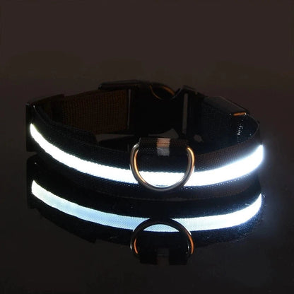 Nylon LED Night Safety Flashing Glow In The Dark Dog Leash Dogs Luminous Fluorescent Pet Dog Collar - PawfectCo