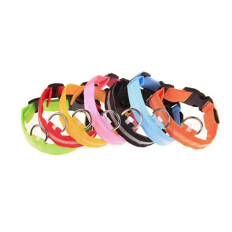 Nylon LED Night Safety Flashing Glow In The Dark Dog Leash Dogs Luminous Fluorescent Pet Dog Collar - PawfectCo