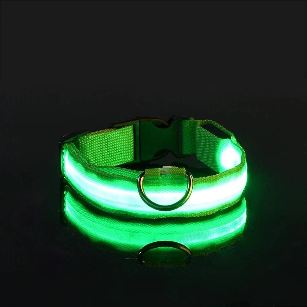 Nylon LED Night Safety Flashing Glow In The Dark Dog Leash Dogs Luminous Fluorescent Pet Dog Collar - PawfectCo