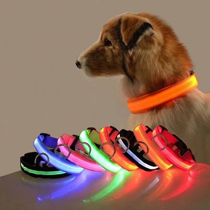 Nylon LED Night Safety Flashing Glow In The Dark Dog Leash Dogs Luminous Fluorescent Pet Dog Collar - PawfectCo