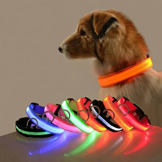 Nylon LED Night Safety Flashing Glow In The Dark Dog Leash Dogs Luminous Fluorescent Pet Dog Collar - PawfectCo