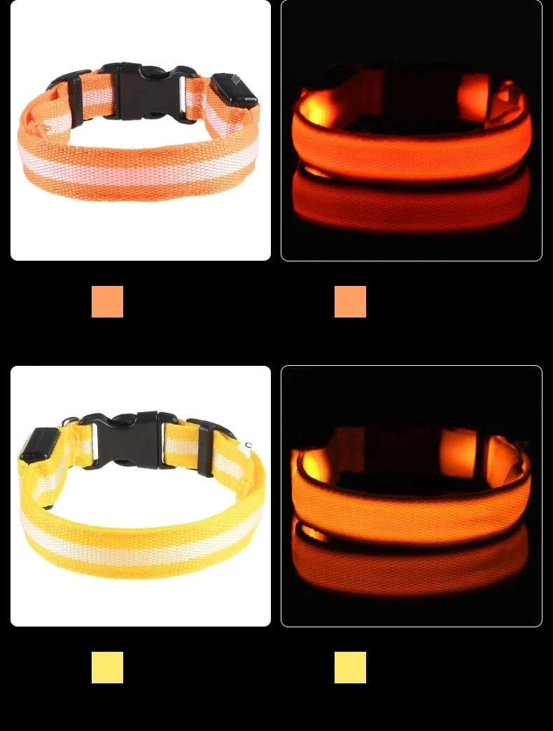 Nylon LED Night Safety Flashing Glow In The Dark Dog Leash Dogs Luminous Fluorescent Pet Dog Collar - PawfectCo