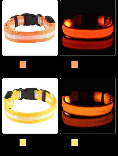 Nylon LED Night Safety Flashing Glow In The Dark Dog Leash Dogs Luminous Fluorescent Pet Dog Collar - PawfectCo