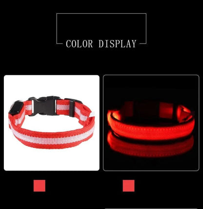 Nylon LED Night Safety Flashing Glow In The Dark Dog Leash Dogs Luminous Fluorescent Pet Dog Collar - PawfectCo