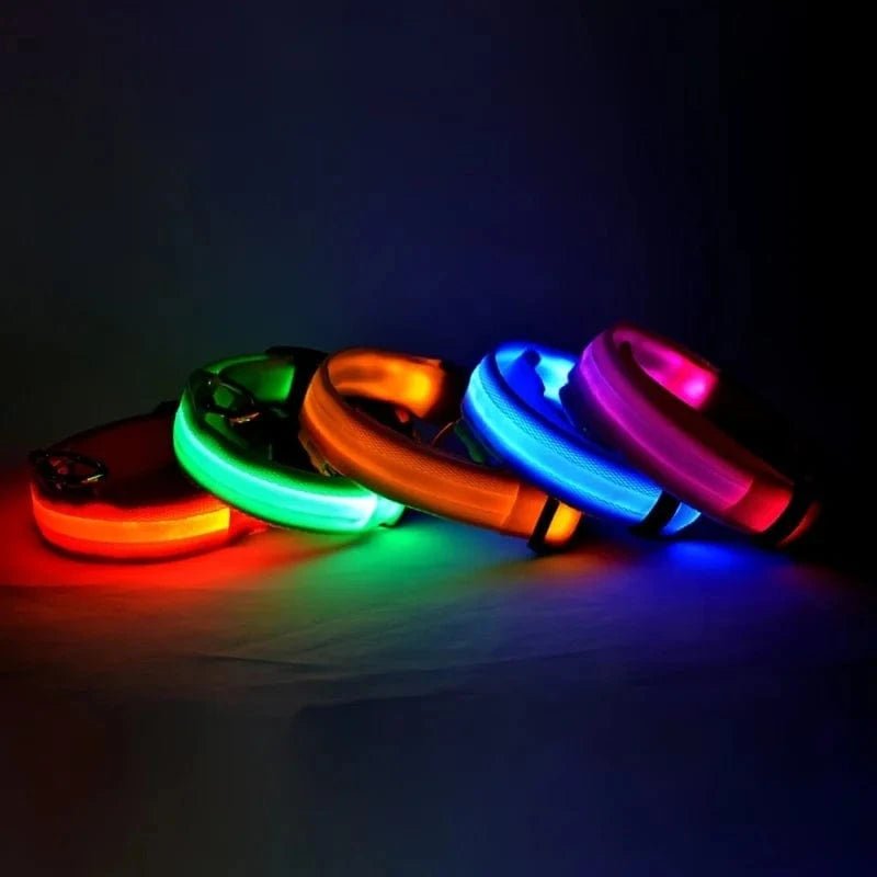 Nylon LED Night Safety Flashing Glow In The Dark Dog Leash Dogs Luminous Fluorescent Pet Dog Collar - PawfectCo