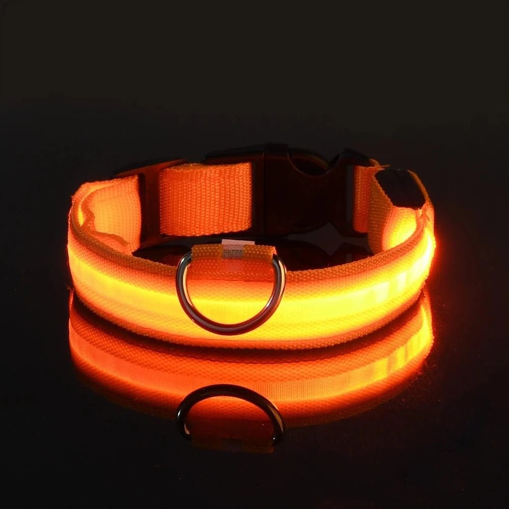 Nylon LED Night Safety Flashing Glow In The Dark Dog Leash Dogs Luminous Fluorescent Pet Dog Collar - PawfectCo