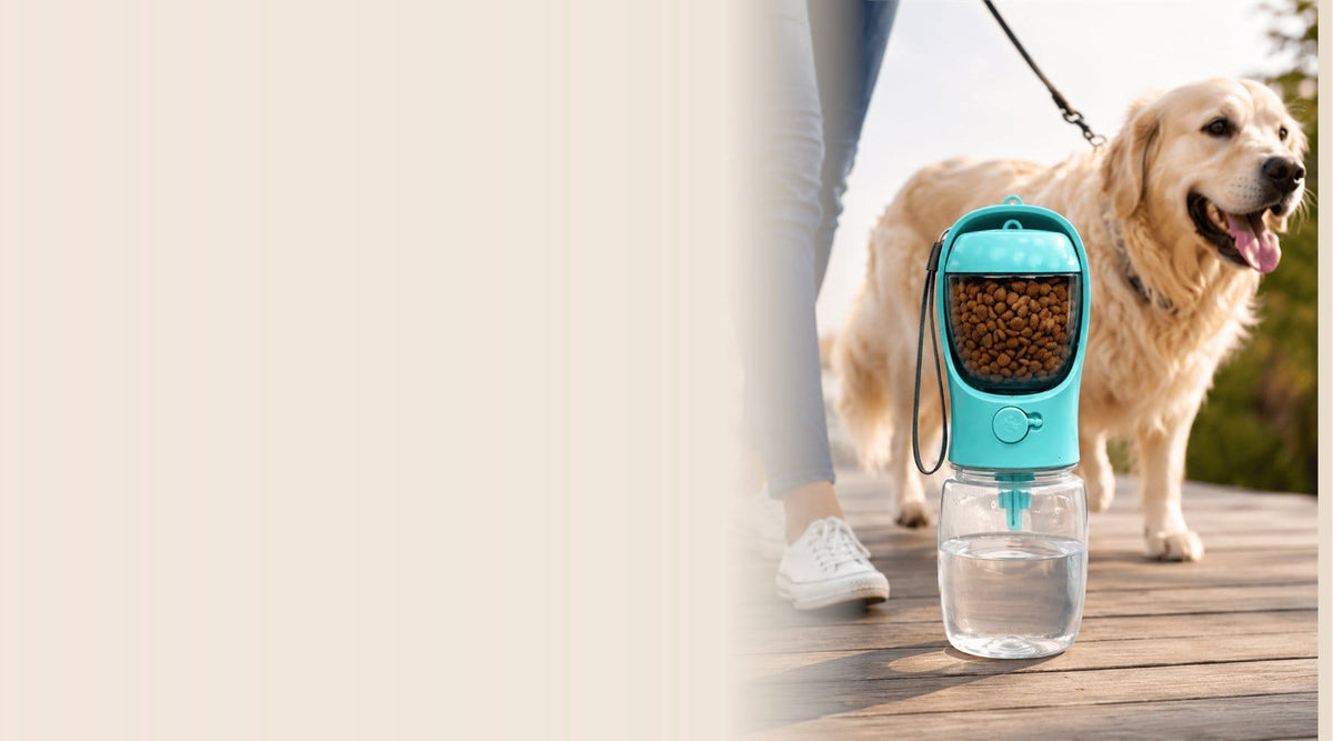 2-in-1 PawfectCo pet travel bottle with food storage on a dog walk
