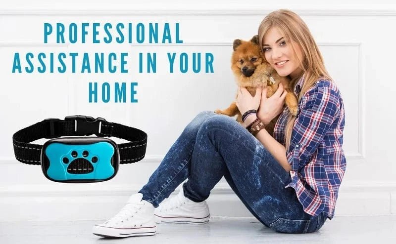Pet Dog Anti Barking Device USB Electric Ultrasonic Dogs Training Collar Dog Stop Barking Vibration Anti Bark Collar Dropship - PawfectCo