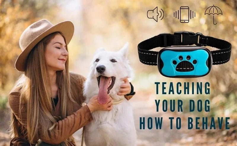 Pet Dog Anti Barking Device USB Electric Ultrasonic Dogs Training Collar Dog Stop Barking Vibration Anti Bark Collar Dropship - PawfectCo