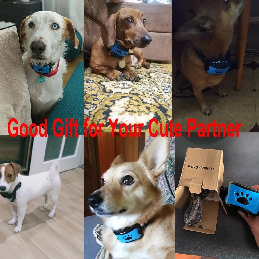 Pet Dog Anti Barking Device USB Electric Ultrasonic Dogs Training Collar Dog Stop Barking Vibration Anti Bark Collar Dropship - PawfectCo