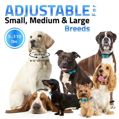 Pet Dog Anti Barking Device USB Electric Ultrasonic Dogs Training Collar Dog Stop Barking Vibration Anti Bark Collar Dropship - PawfectCo