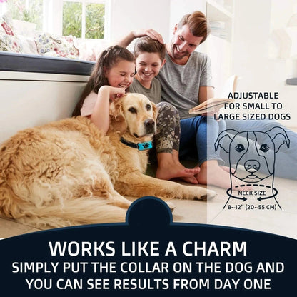 Pet Dog Anti Barking Device USB Electric Ultrasonic Dogs Training Collar Dog Stop Barking Vibration Anti Bark Collar Dropship - PawfectCo