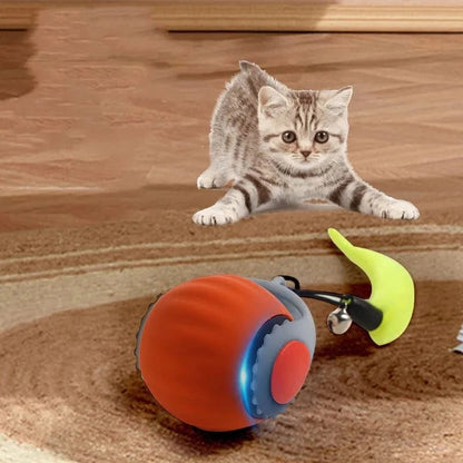 Pet smart cat ball cat toy ball electric cat toy self - exciting boredom ball safe bite - resistant pet toy - PawfectCo