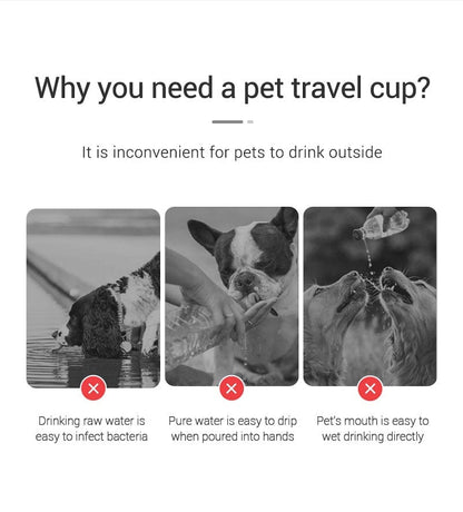 Portable Dog Water Bottle For Small Large Dogs Cat Outdoor Leakproof Walking Drinking Bowls Chihuahua French Bulldog Supplies - PawfectCo
