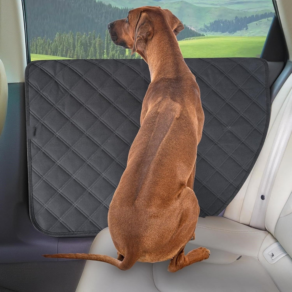 Quilted Dog Car Door Protectors — 2-Pack - PawfectCo