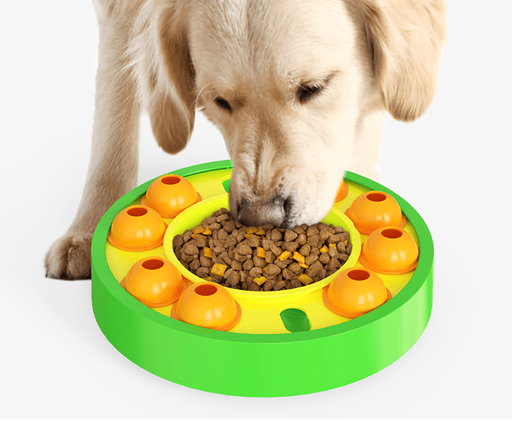 Rotating Dog Puzzle Slow Feeder — Green - PawfectCo