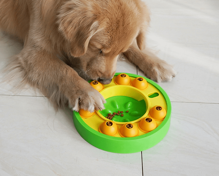 Rotating Dog Puzzle Slow Feeder — Green - PawfectCo