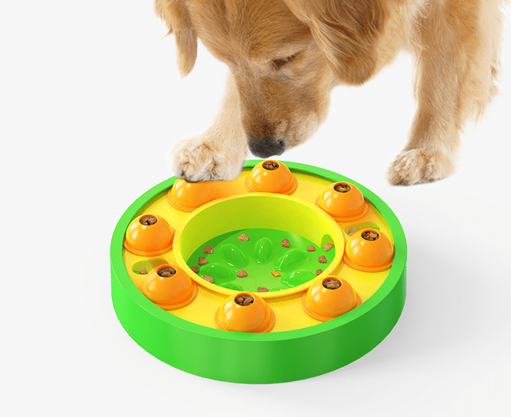 Rotating Dog Puzzle Slow Feeder — Green - PawfectCo
