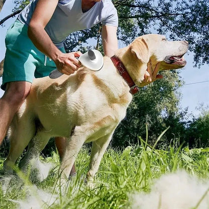 Self-Cleaning Pet Grooming Brush | Dogs & Cats - PawfectCo